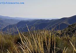 Entorno