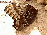 Mariposario