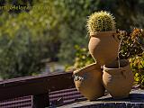Jardín