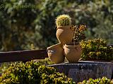 Jardín