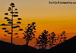 Entorno